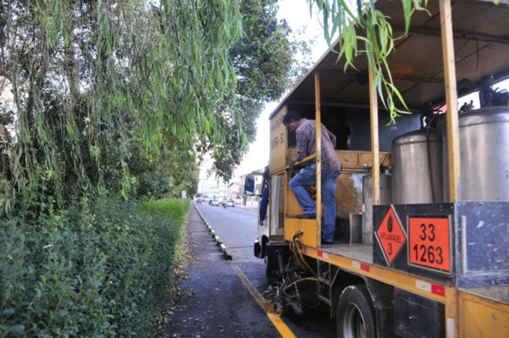 DR. CÁSSIO CAPELLARI SOLICITA MELHORIAS NA SINALIZAÇÃO DE TRÂNSITO EM RUA DO BAIRRO PALLÚ