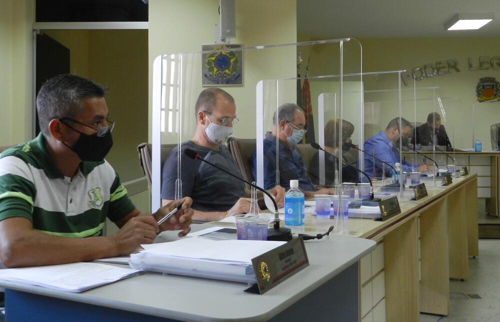 CÂMARA APROVA PROJETO QUE DETERMINA APREENSÃO DE ANIMAIS DE GRANDE PORTE EM VIAS PÚBLICAS