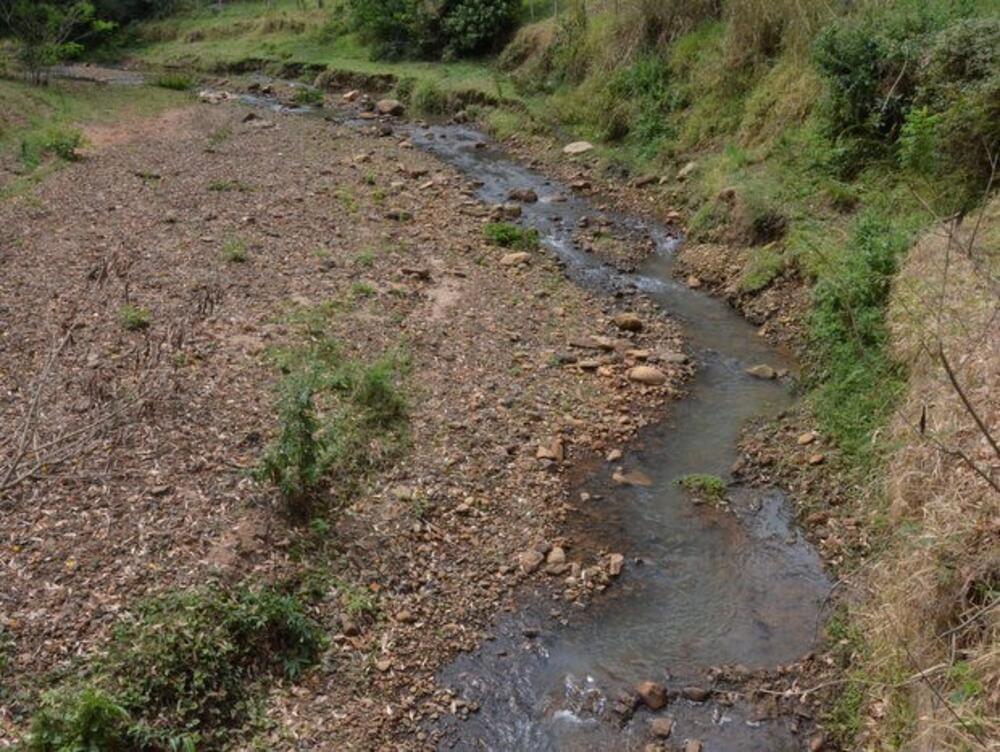 PROJETO DE LEI PREVÊ A CRIAÇÃO DO PROGRAMA “PARCERIA CIDADÃ” PELOS RIOS, CÓRREGOS, RIBEIRÕES, NASCENTES E AFINS