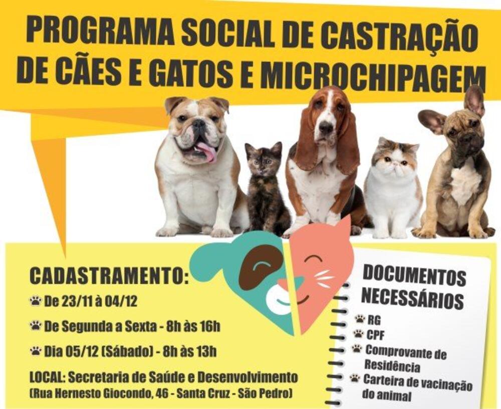 IMPORTANTE: PREFEITURA ABRE CADASTRO PARA PROGRAMA SOCIAL DE CASTRAÇÃO DE CÃES E GATOS
