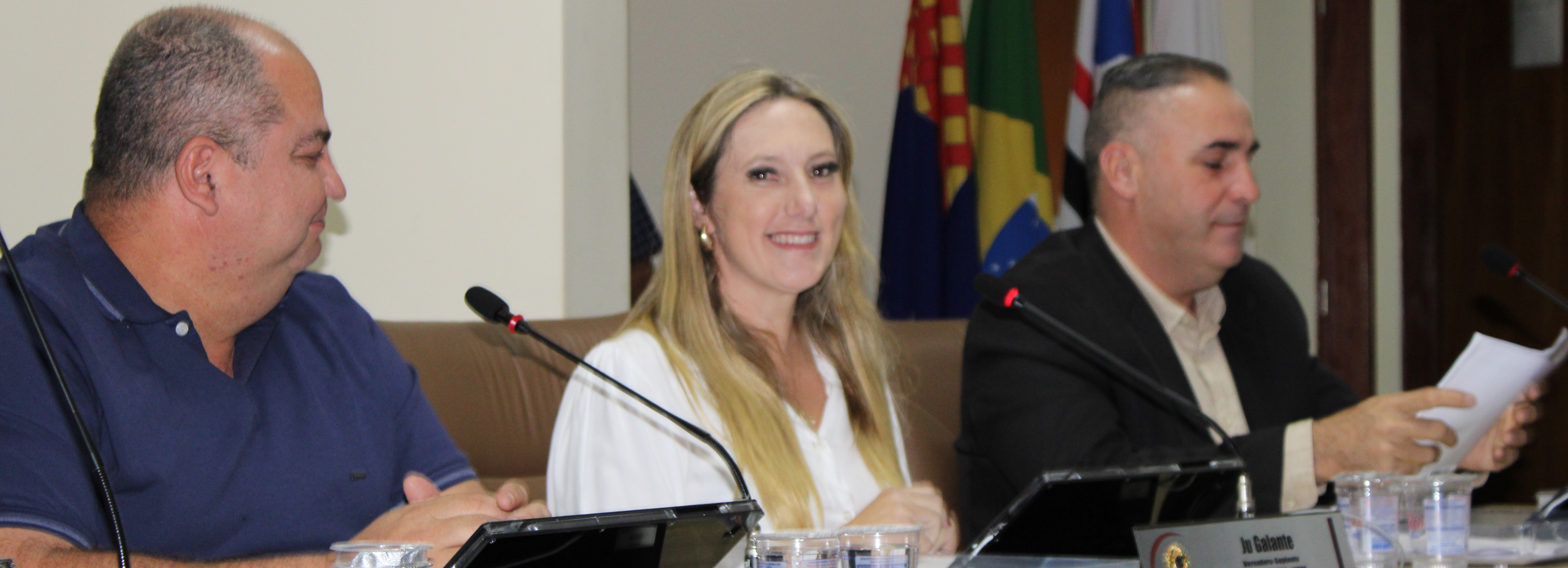 Legislativo